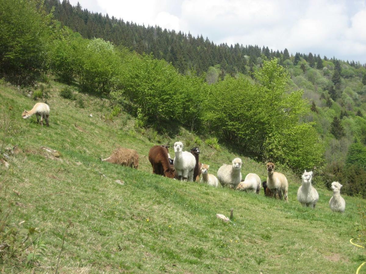 Les Bruyeres Wi Fi La Bresse Exterior foto